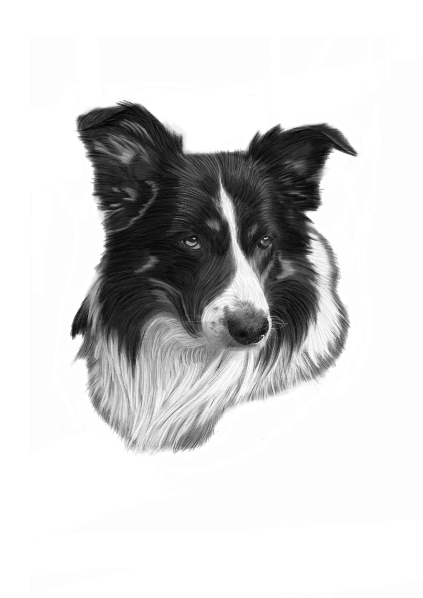 Blanco y Negro Digital